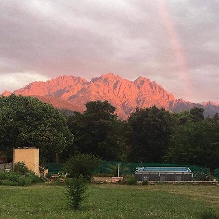 Le Coin Tranquille Hotel Morosaglia Eksteriør billede