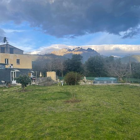 Le Coin Tranquille Hotel Morosaglia Eksteriør billede