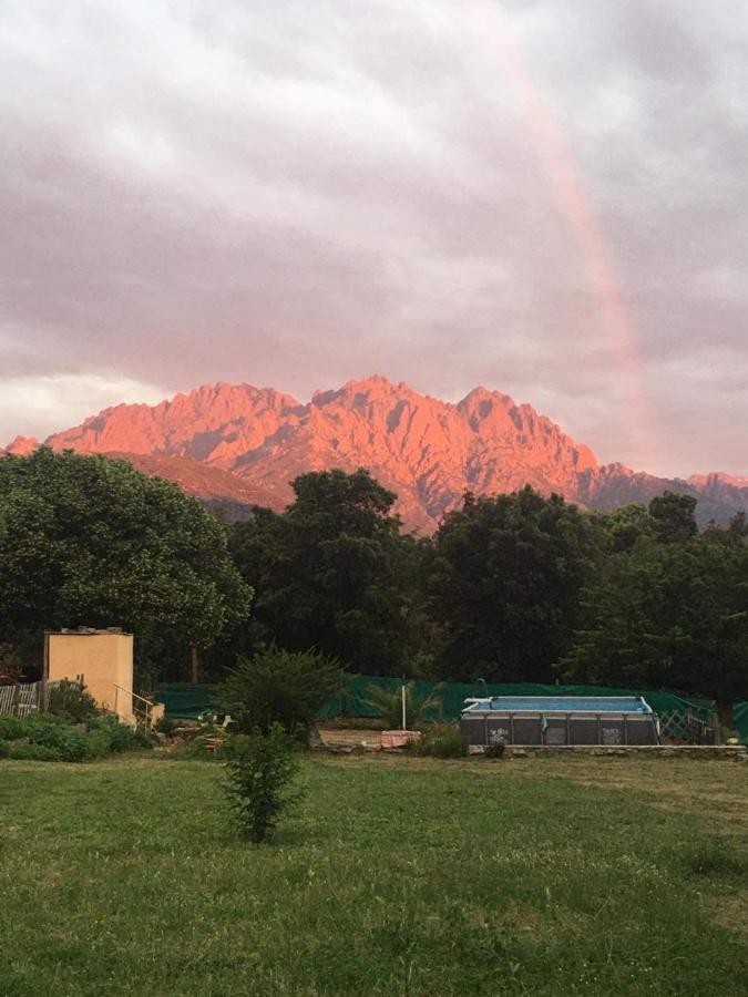 Le Coin Tranquille Hotel Morosaglia Eksteriør billede
